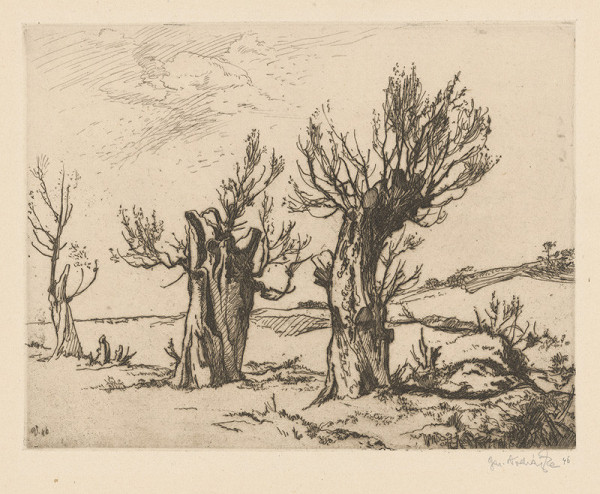 Jaroslav Vodrážka – Tri vŕby 