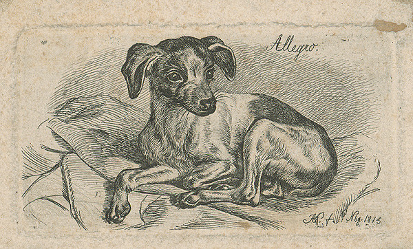 Stredoeurópsky grafik A.G.- z 19. storočia – Pes 