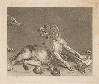 Samuel Gränichder – Psia rodina 