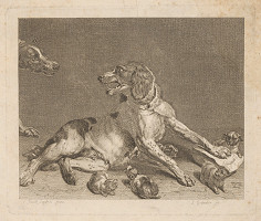 Samuel Gränichder – Psia rodina 