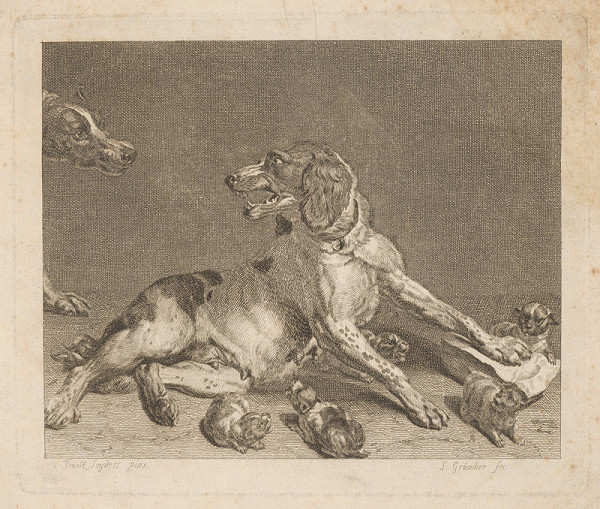 Samuel Gränichder – Psia rodina 