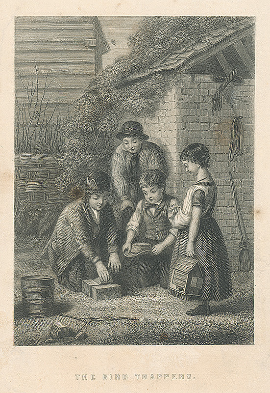 Anglický autor z 19. storočia – Chytanie vtáčkov 