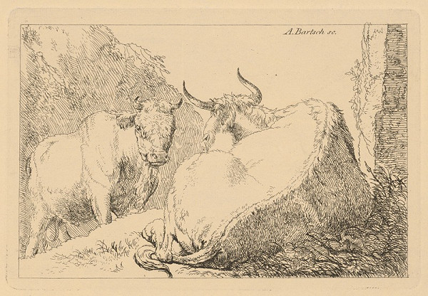 Adam von Bartsch – Dva býky 