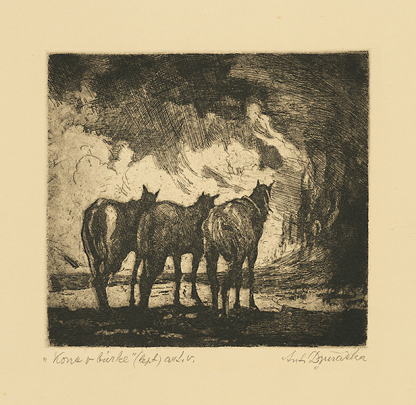 Anton Djuračka – Kone v búrke