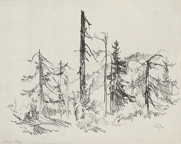 Jaroslav Vodrážka – Pne XI. 