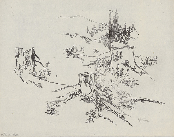 Jaroslav Vodrážka – Pne XIII. 