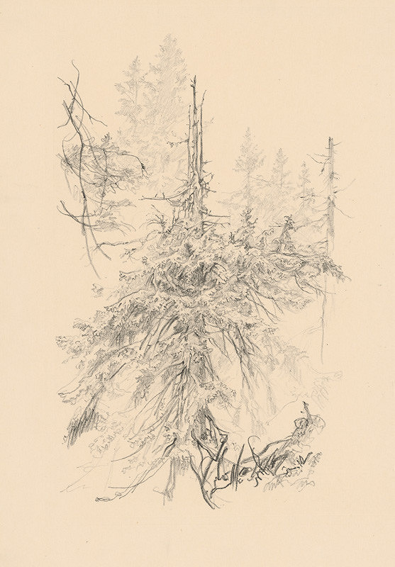 Jaroslav Vodrážka – Štúdie stromov D. 