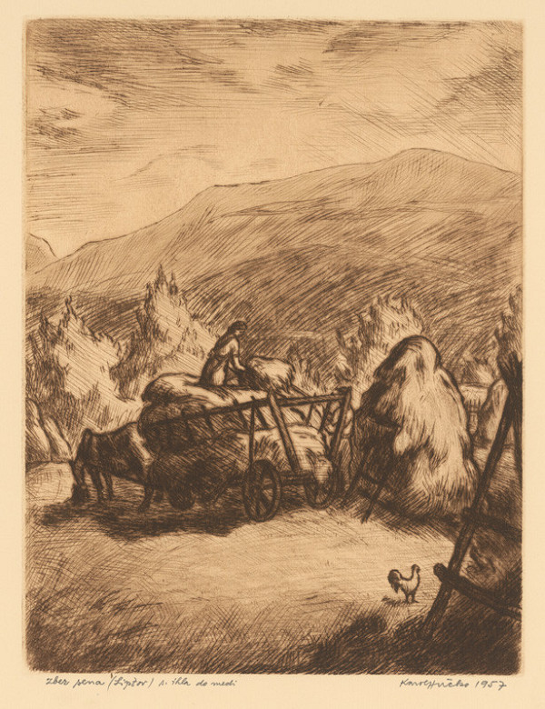 Karol Hučko – Zber sena 