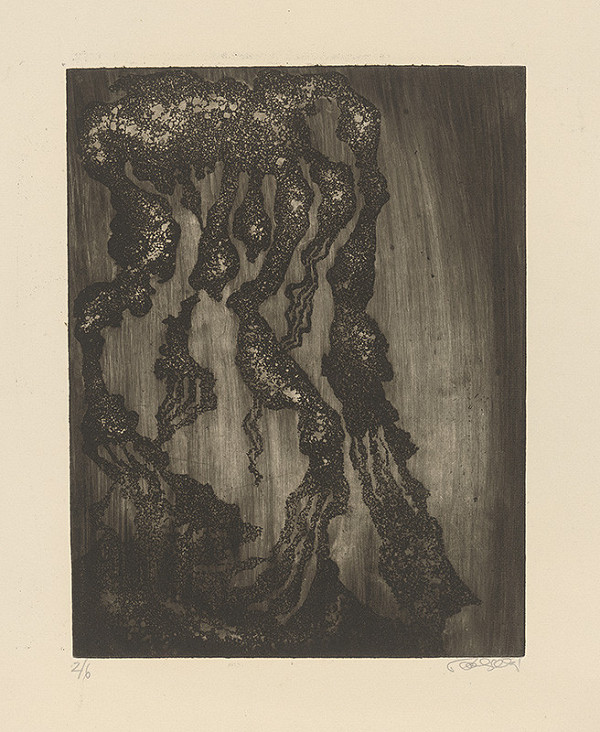 Jarmila Pavlíčková – Napustí 