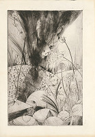 Alžbeta Štefunková-Szabová – Vetrík 