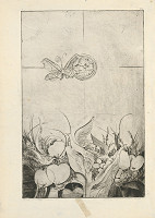 Alžbeta Štefunková-Szabová – Pieseň 