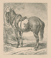 Johann Adam Klein – Kôň 