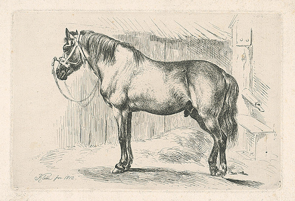 Johann Adam Klein – Kôň