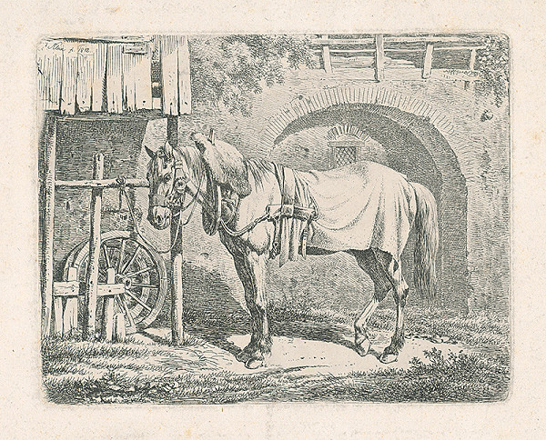 Johann Adam Klein – Kôň