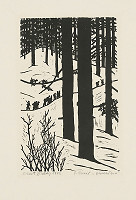 Orest Dubay – Generácia VII. 