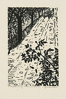 Orest Dubay – Generácia VIII. 