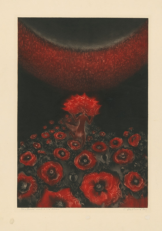 Terézia Kružlicová – Slnečné mesto a sivá dolina 