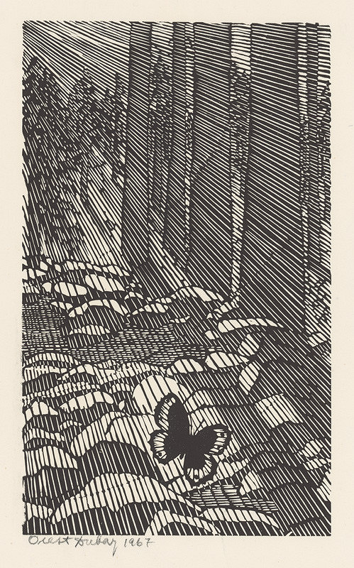 Orest Dubay – Motýľ 