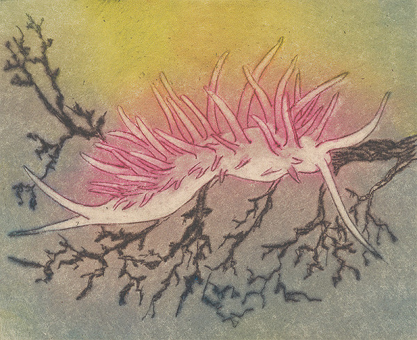 Mária Želibská – Sea Urchin