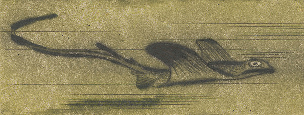 Mária Želibská – Morský drak 