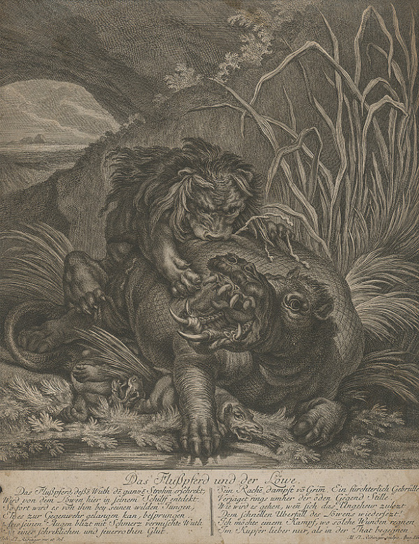 Martin Elias Ridinger, Johann Elias Ridinger – Vodný kôň a lev