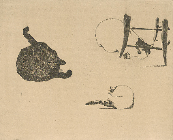 Edouard Manet – Tri mačky