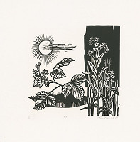 Edita Ambrušová – Neumrel na koni III. 