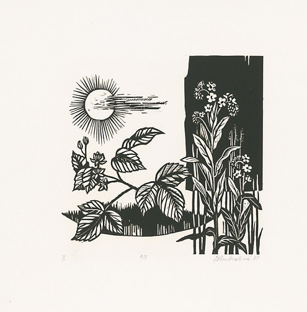 Edita Ambrušová – Neumrel na koni III. 