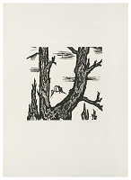 Edita Ambrušová – Neumrel na koni IV. 