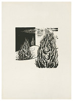 Edita Ambrušová – Neumrel na koni VI. 