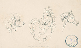 Josef Bermann – Štúdia koňa a psa 