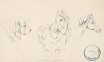 Josef Bermann – Štúdia koňa a psa 