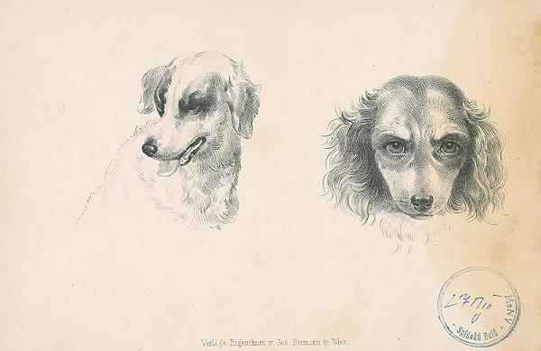 Stredoeurópsky autor z 2. polovice 19. storočia – Dve hlavy psov