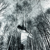 Francisco Infante – Artefakty 