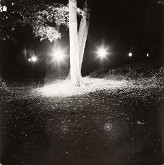 Ľubomír Ďurček – Pocta Stromu 