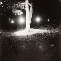 Ľubomír Ďurček – Honour to the Tree 