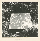 Michal Kern – Hľadanie tieňa II. 