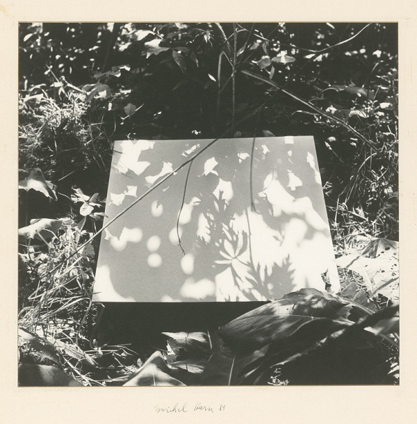 Michal Kern – Hľadanie tieňa II. 