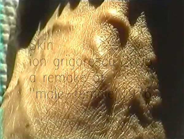 Ion Grigorescu – Skin