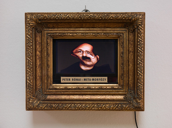 Peter Rónai – Meta-morfózy 