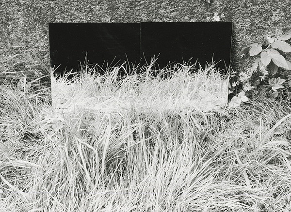 Alexandr Skalický – Podivné trávy IV. 