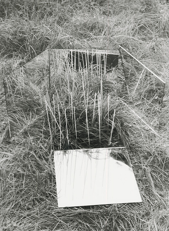 Alexandr Skalický – Podivné trávy VI. 