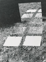 Alexandr Skalický – Zrkadlenie v tráve IV.  