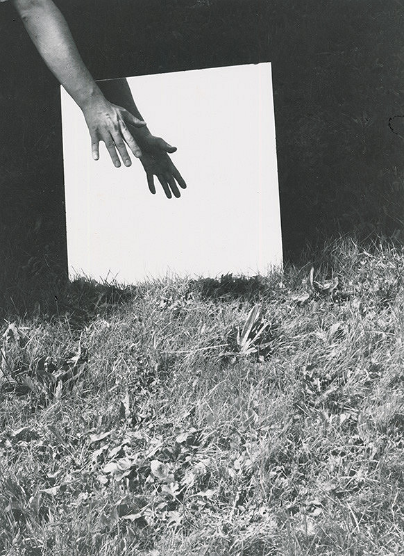 Alexandr Skalický – Zrkadlenie v tráve VI. 