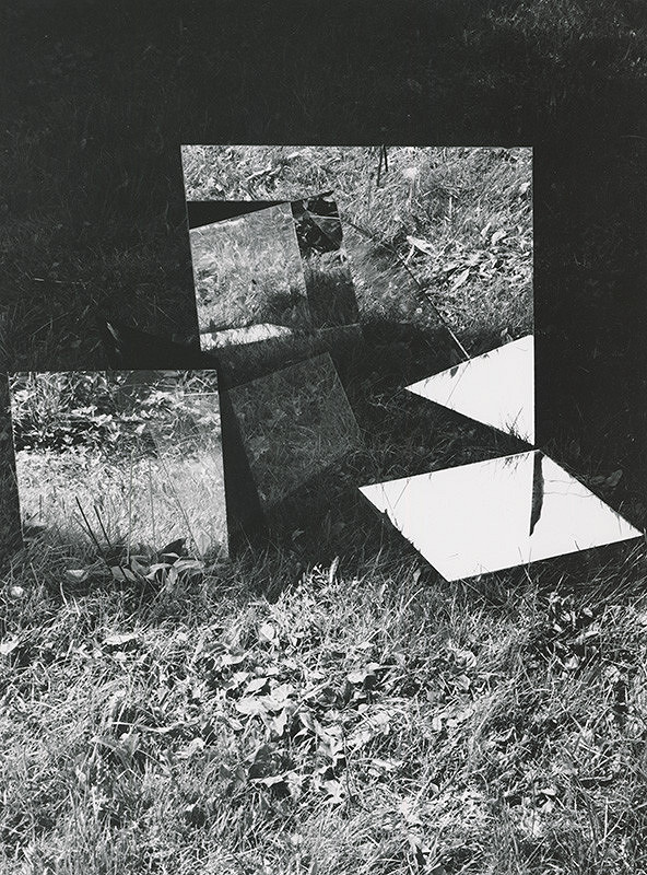 Alexandr Skalický – Zrkadlenie v tráve VIII. 