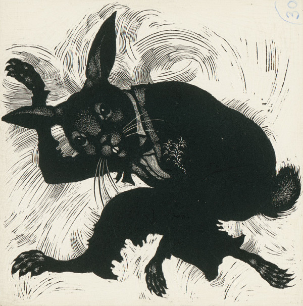 Albín Brunovský – Bunny