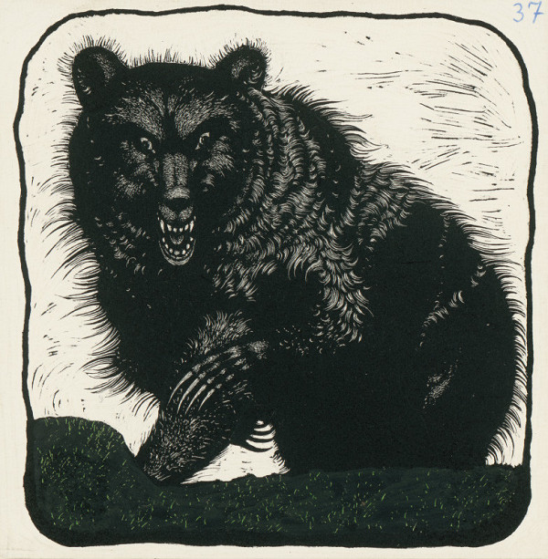 Albín Brunovský – Medveď