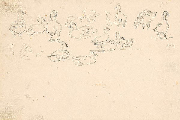 Jaroslav Augusta – Náčrty kačky  