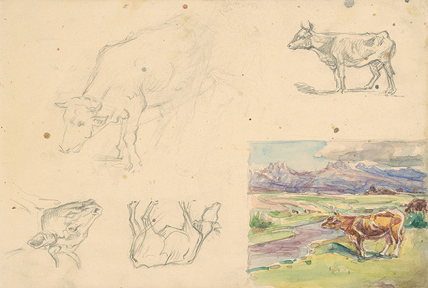 Jaroslav Augusta – Náčrty kravy a štúdia krajiny  