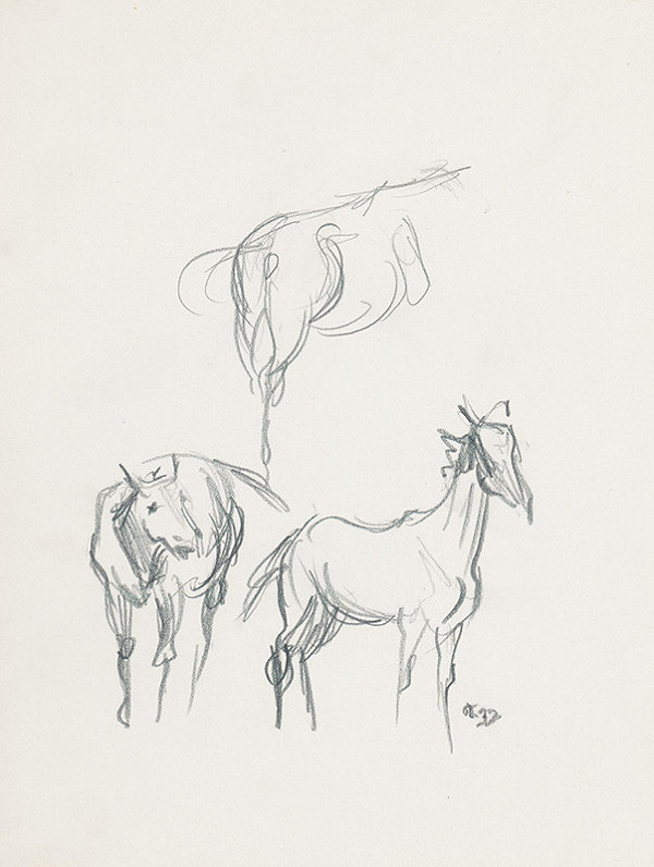 Jaroslav Vodrážka – Kone 